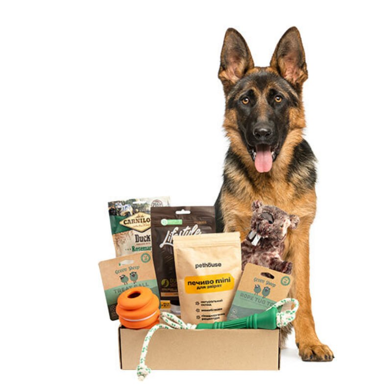 Stanley Tumbler Pink