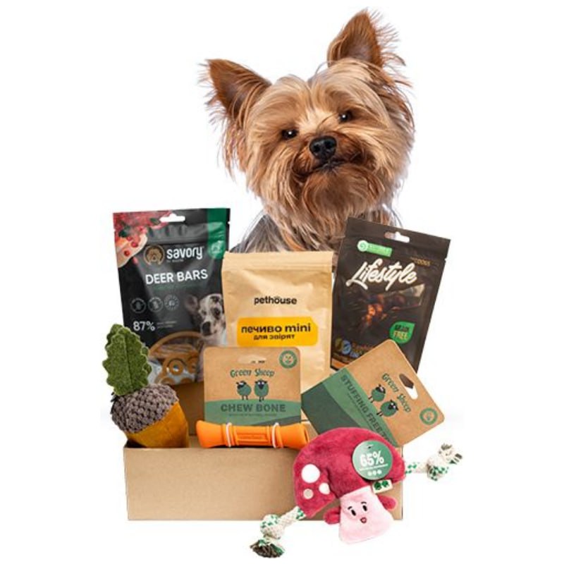 Stanley Tumbler Pink